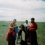 Визит в Монголию